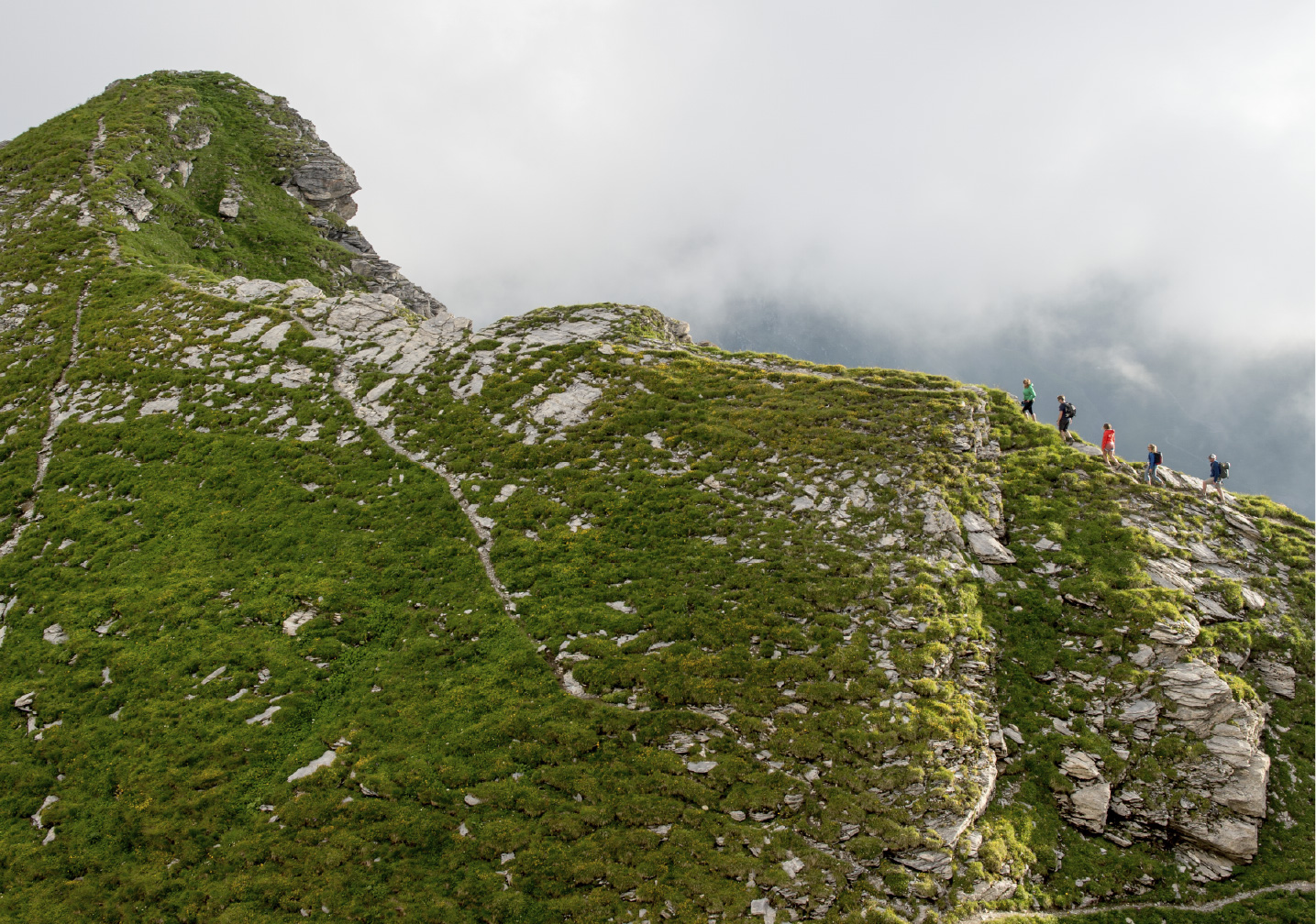 ACTIVITES-ALPES.jpg