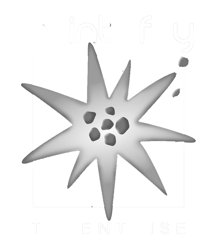 Ste-Foy-logo-ski-france-253aad75d7bf2453ad66bc95411.png