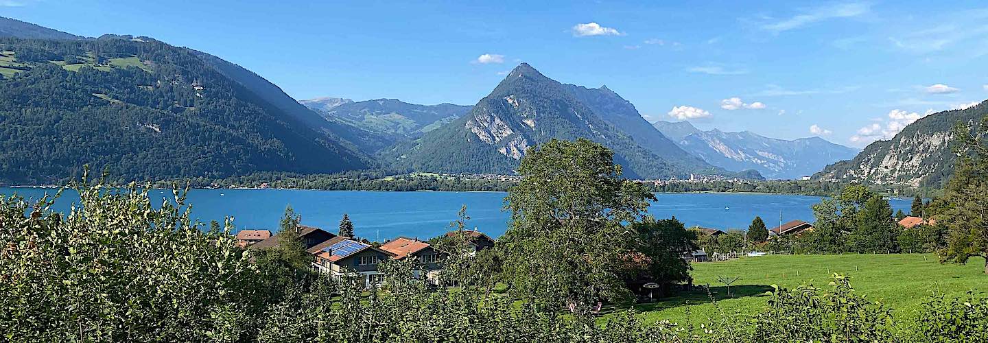  Suisse Valley of Grindelwald