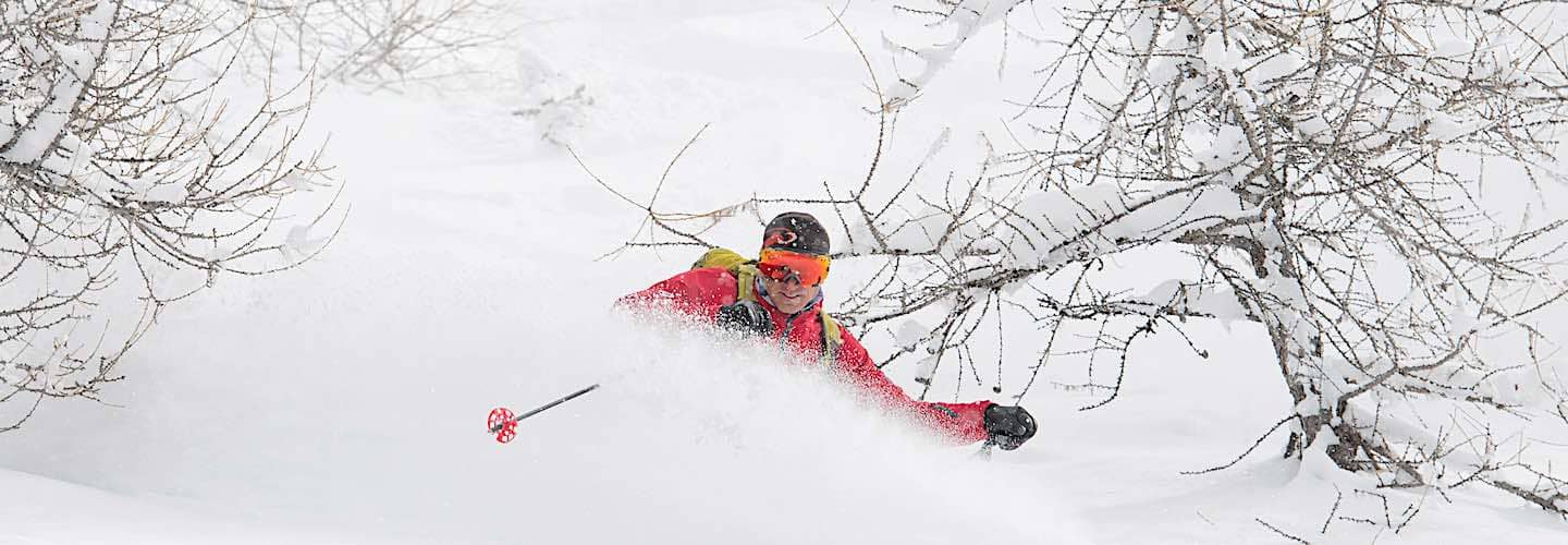 Fresh snow skiing